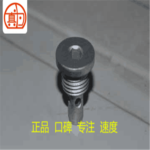 奇瑞481发动机凸轮轴节流螺栓481Y